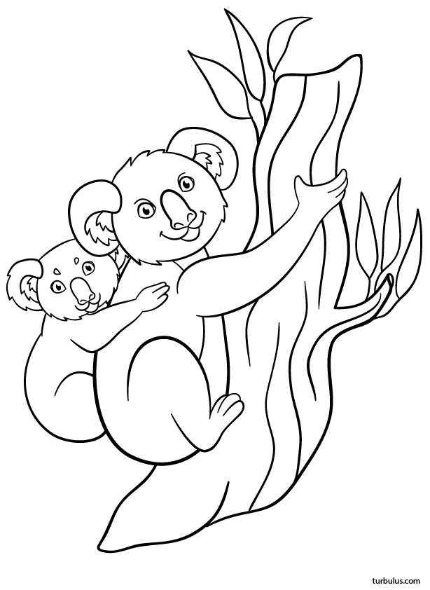 Dessin à imprimer et à colorier ; un koala et son petit sur son dos