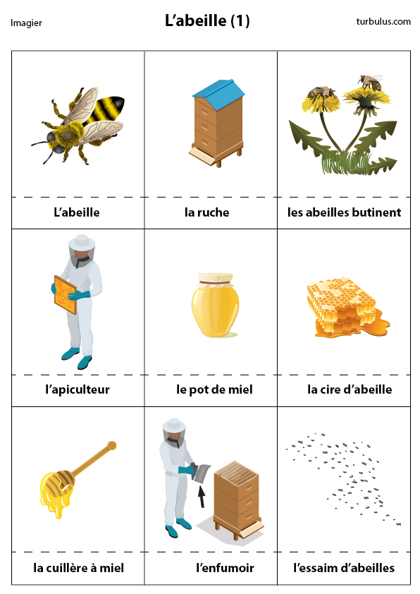 Imagerie des abeilles : la ruche, l'apiculteur, le pot de miel, la cire d'abeille, la cuillère à miel, l'enfumoir, l'essaim et l'abeille qui butine.