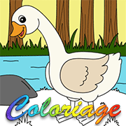 Coloriage en ligne, une oie