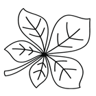 Coloriage : une feuille de marronnier