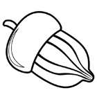 Coloriage : un gland