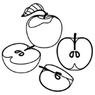Coloriage : des pommes