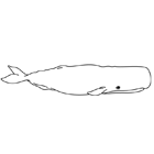Coloriage à imprimer : une baleine