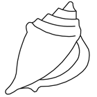 Coloriage à imprimer : un coquillage