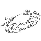Coloriage à imprimer : un crabe