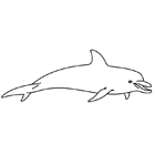 Coloriage à imprimer : un dauphin