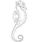 Coloriage à imprimer : un hippocampe