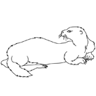 Coloriage à imprimer : une loutre