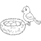 Coloriage à imprimer : un oiseau, un nid et les œufs