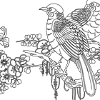 Coloriage : des oiseaux sur une branche