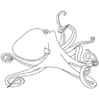 Coloriage à imprimer : une pieuvre