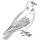 Coloriage : un pigeon
