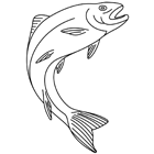 Coloriage à imprimer : un poisson