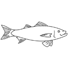 Coloriage à imprimer : un poisson