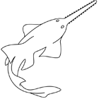 Coloriage à imprimer : un poisson-scie