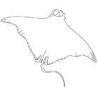 Coloriage à imprimer : une raie manta