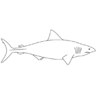 Coloriage à imprimer : un requin