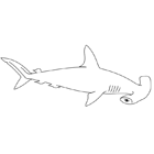 Coloriage à imprimer : un requin-marteau