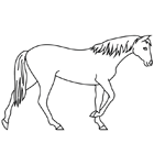 Coloriage à imprimer : un cheval
