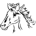 Coloriage à imprimer : une tête de cheval