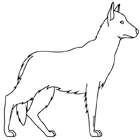 Coloriage à imprimer : un chien, le berger allemand