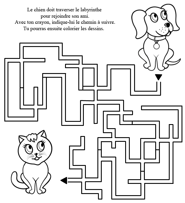 Labyrinthe le chat et le chien