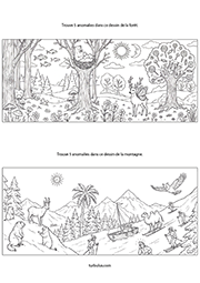 Jeu d'observation, les anomalies