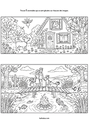 Jeu d'observation, les anomalies