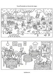 Jeu d'observation, les anomalies