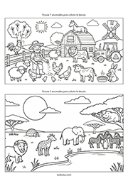 Jeu d'observation, les anomalies